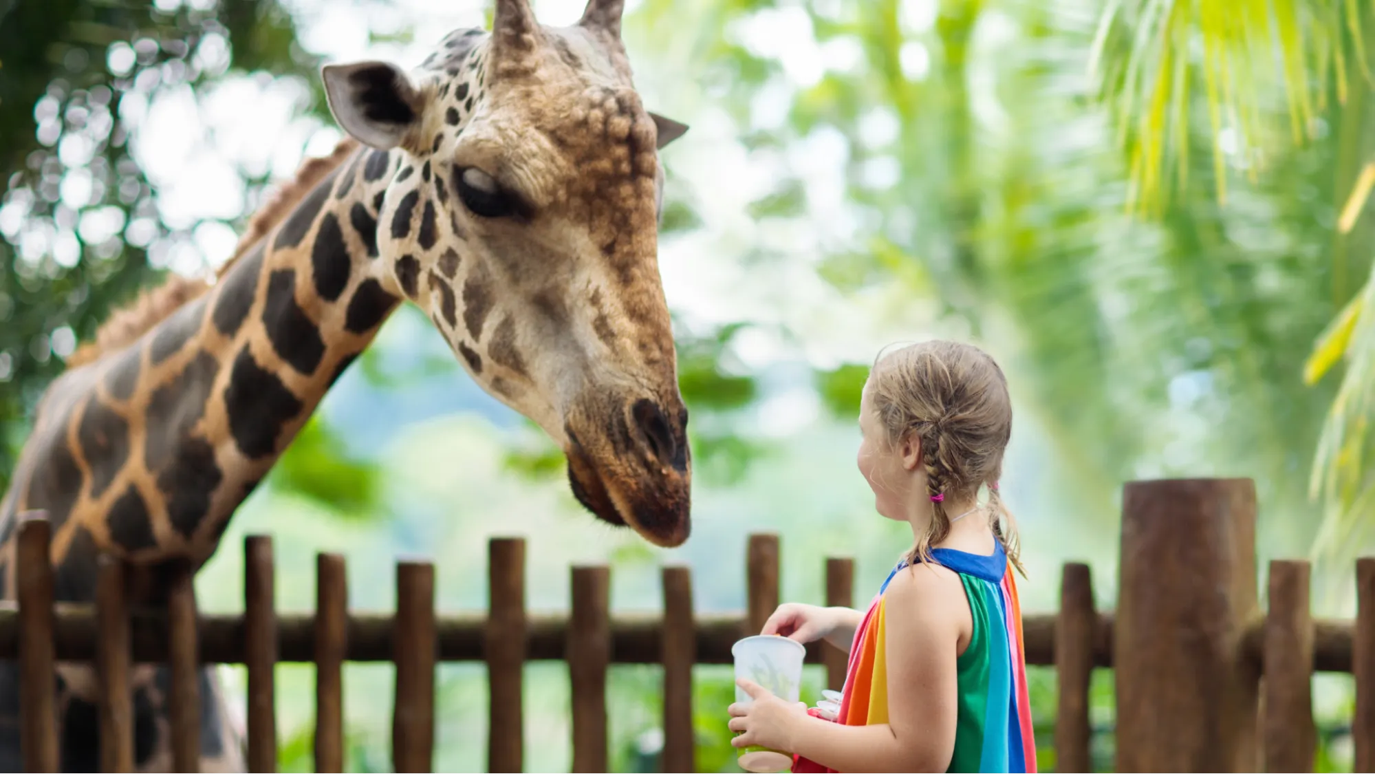 Affordable Family Zoo