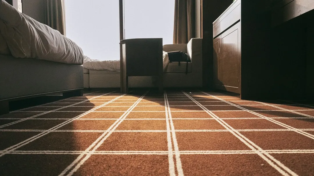 Professional Carpet Cleaning